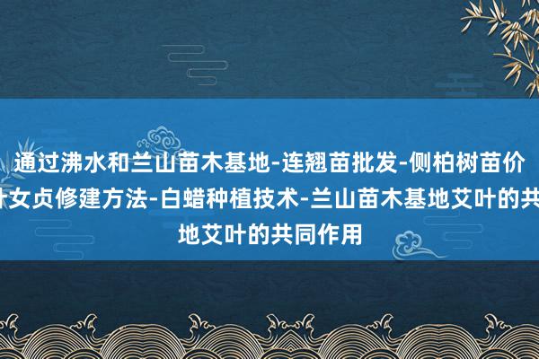 通过沸水和兰山苗木基地-连翘苗批发-侧柏树苗价格-大叶女贞修建方法-白蜡种植技术-兰山苗木基地艾叶的共同作用