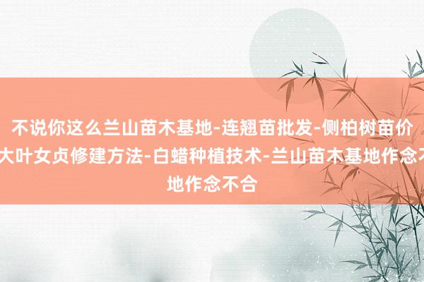不说你这么兰山苗木基地-连翘苗批发-侧柏树苗价格-大叶女贞修建方法-白蜡种植技术-兰山苗木基地作念不合