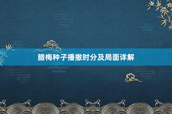 腊梅种子播撒时分及局面详解
