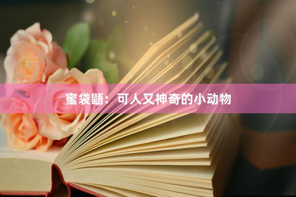 蜜袋鼯：可人又神奇的小动物