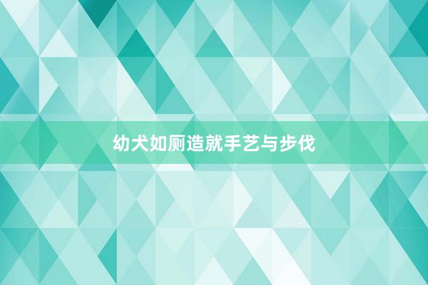 幼犬如厕造就手艺与步伐